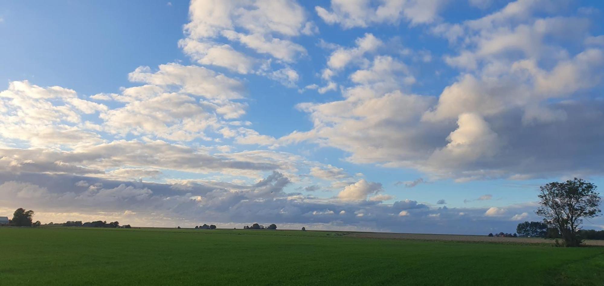 Apartmán De Groote Medwert Holwerd Exteriér fotografie