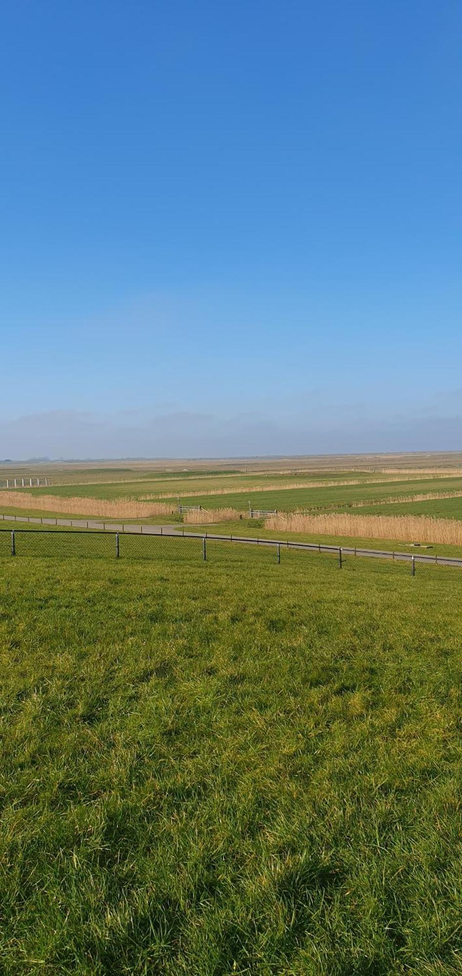 Apartmán De Groote Medwert Holwerd Exteriér fotografie