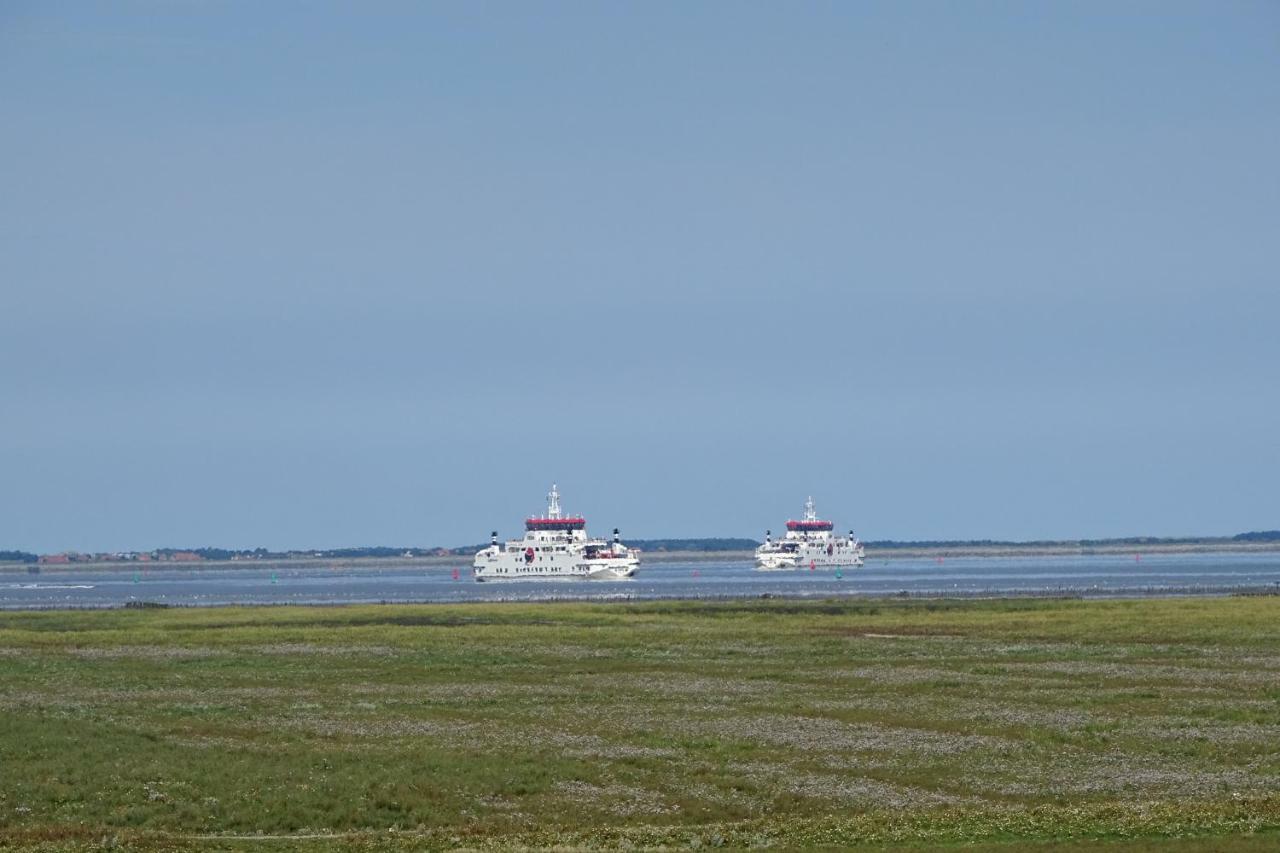 Apartmán De Groote Medwert Holwerd Exteriér fotografie