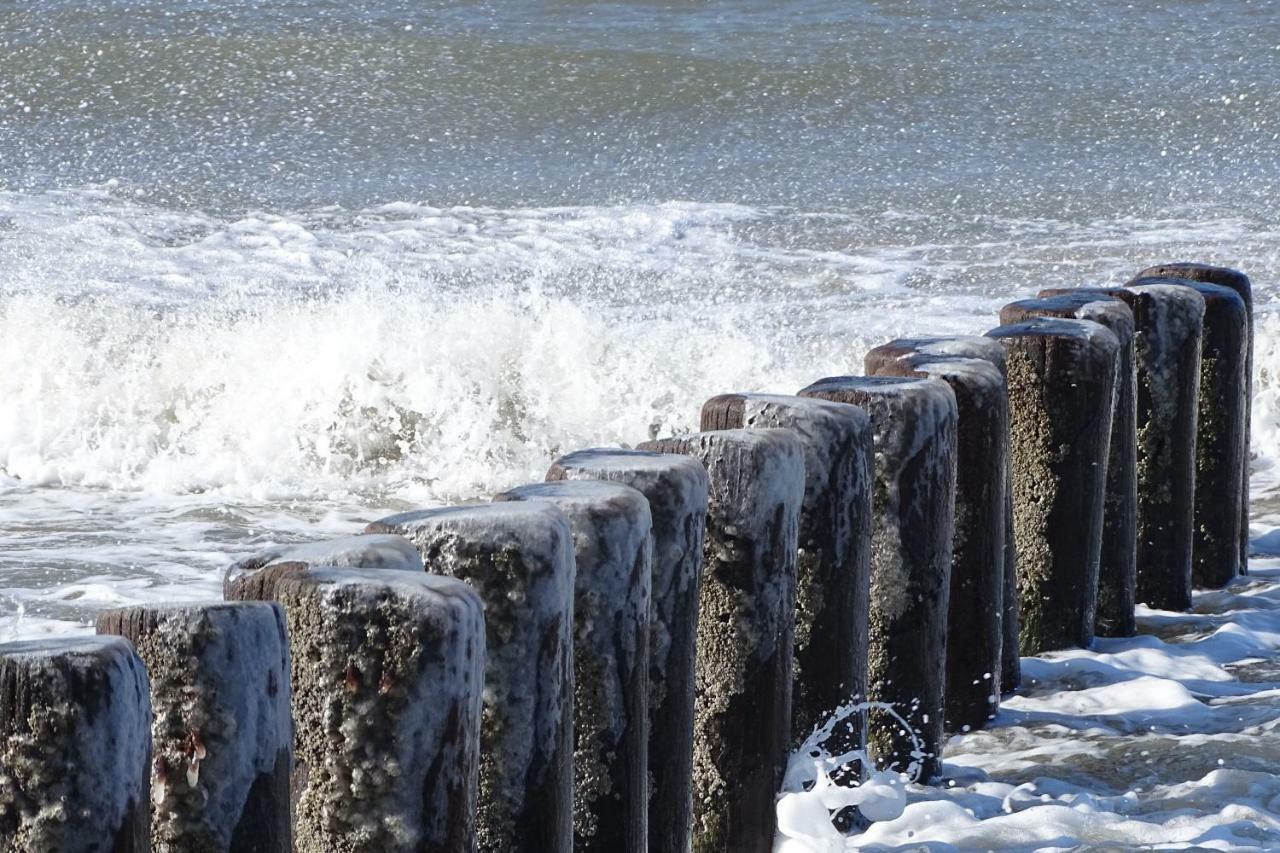 Apartmán De Groote Medwert Holwerd Exteriér fotografie
